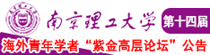 大鸡吧抽插小骚逼视频南京理工大学第十四届海外青年学者紫金论坛诚邀海内外英才！